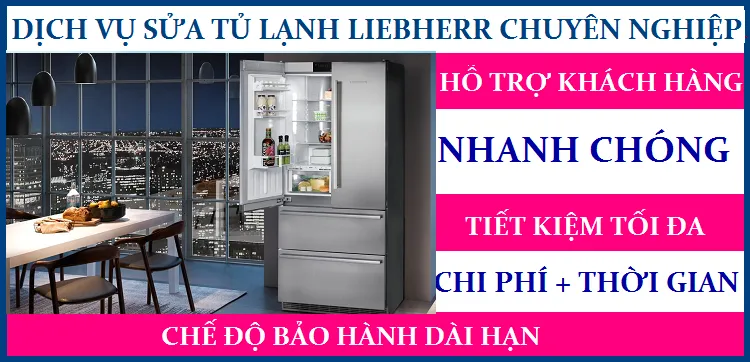 Sửa Chữa Tủ Lạnh Liebherr