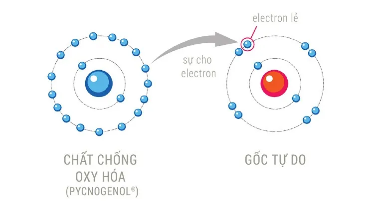 Bệnh đãng trí của người già là gì và cách phòng bệnh ra sao