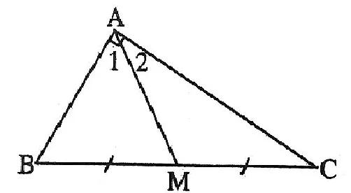 ví dụ đường trung tuyến trong tam giác vuông