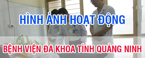 Hình ảnh hoạt động