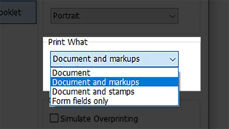 Print What chọn những gì trong file sẽ được in