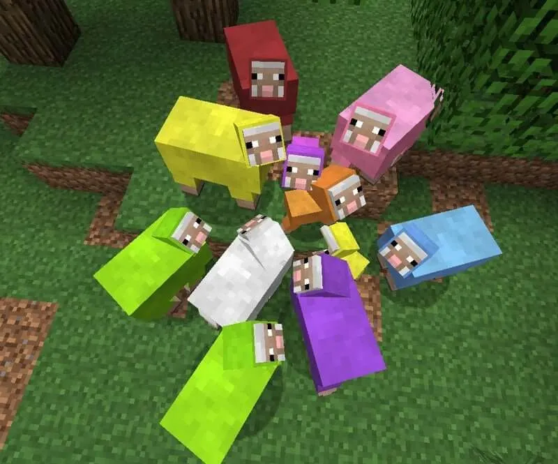 Cách làm cừu 7 màu trong Minecraft PE - Chia Sẻ Kiến Thức Điện Máy Việt Nam - Xóm Trade