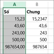 mẫu hiển thị các số với các định dạng khác nhau như định dạng Số và định dạng Chung.