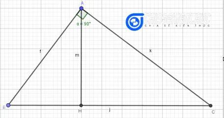 cach-dung-hinh-co-so-do-do-dai-do-lon-bang-geogebra (24)