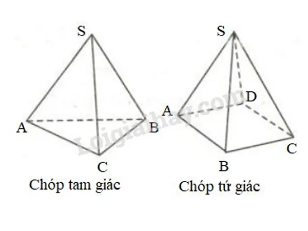 voh.com.vn-hinh-chop