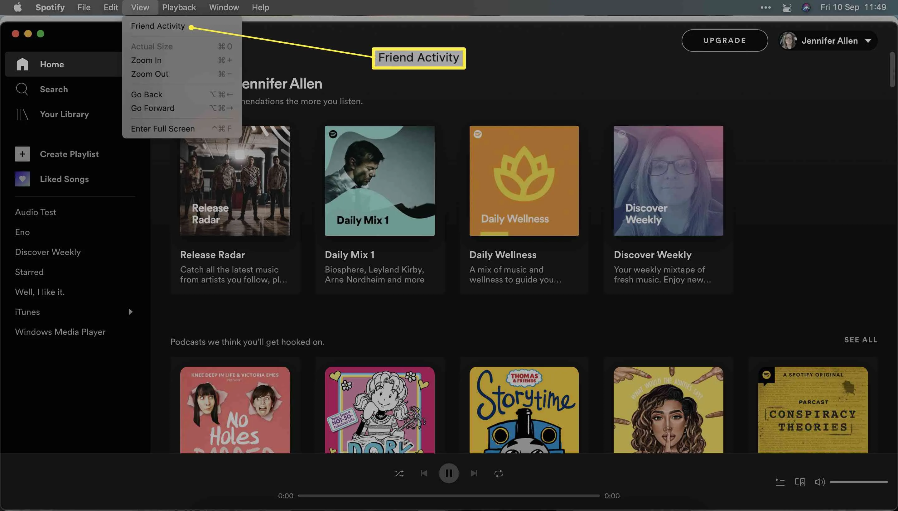 Spotify with View and Friend Activity highlighted