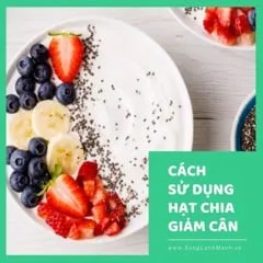 Cách Sử Dụng Hạt Chia Giảm Cân Cho Vóc Dáng Thon Gọn