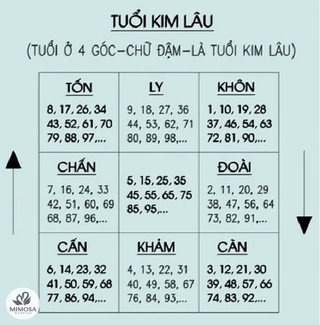 tuoi kim lau