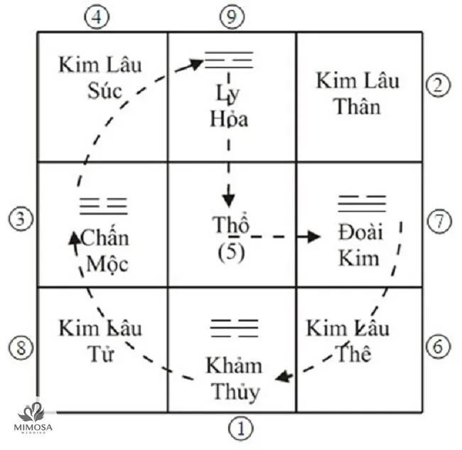 tuoi kim lau