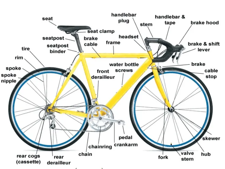 Từ vựng tiếng Anh về xe đạp
