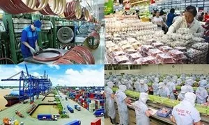 Từng bước mở cửa nền kinh tế phù hợp với diễn biến dịch bệnh