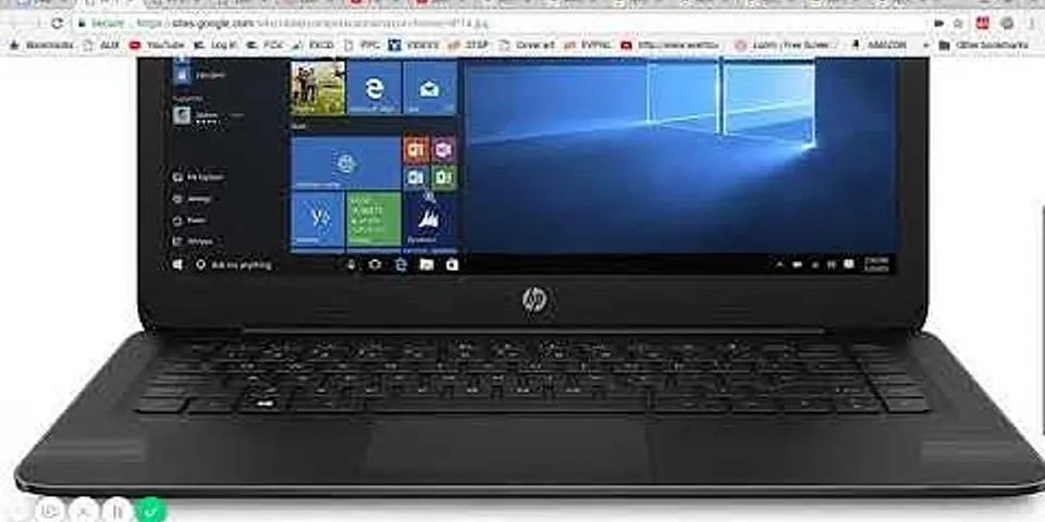 amazon hp laptops : windows 10