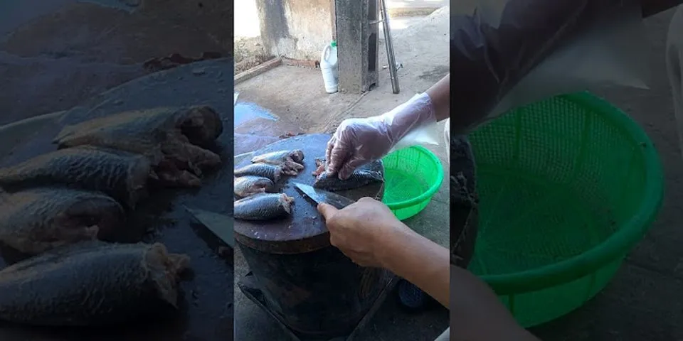 Cách lọc thịt cá rô đồng