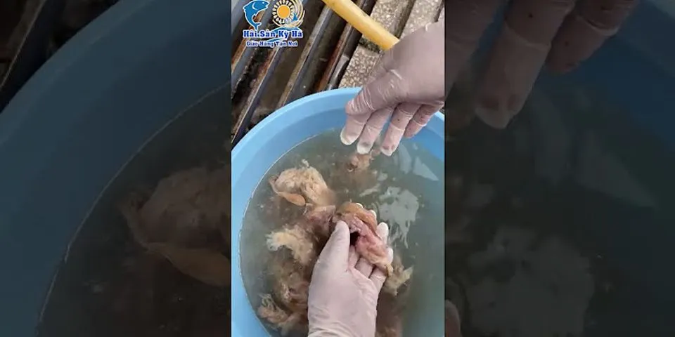 Cách nấu cháo ruột cá lóc