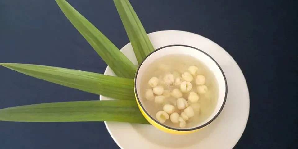 Cách nấu chè nha đam đậu xanh hạt sen