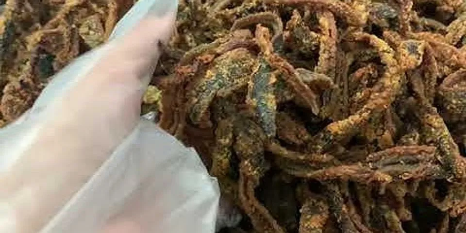 Cách nấu lươn biển khô