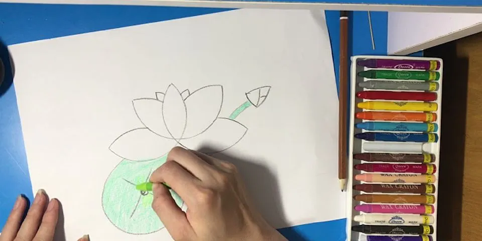 cách vẽ hoa sen đơn giản nhất