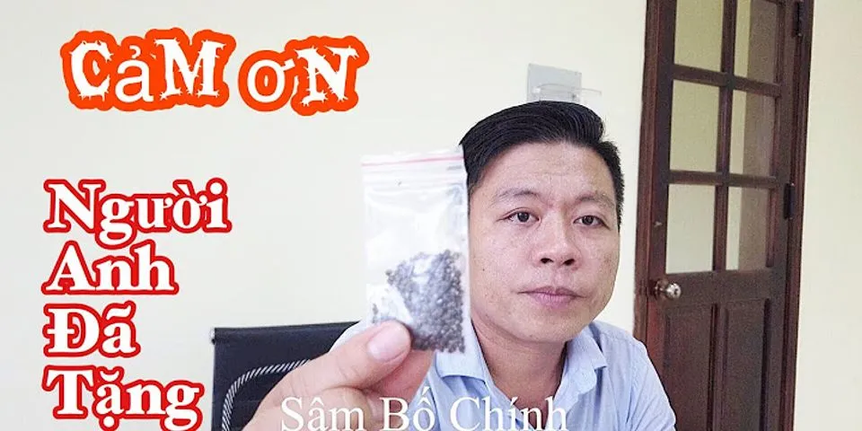 Lời cảm on hay nhất khi nhận quà