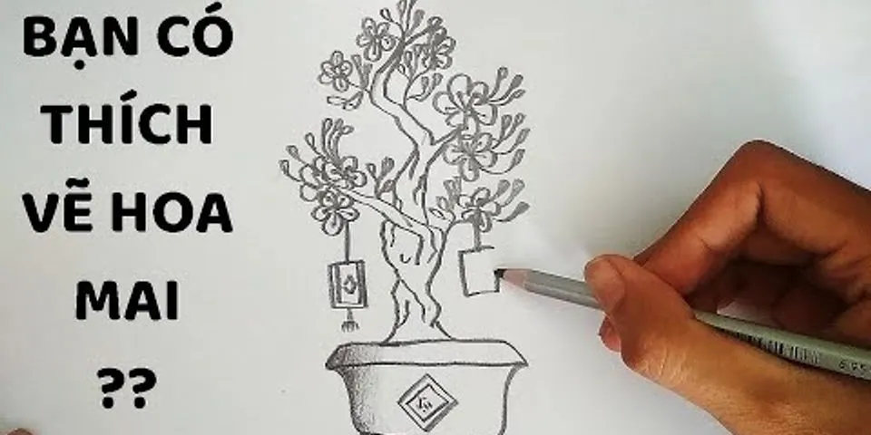 cách vẽ hoa mai