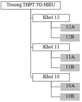 Hình 1. Tổ chức thư mục