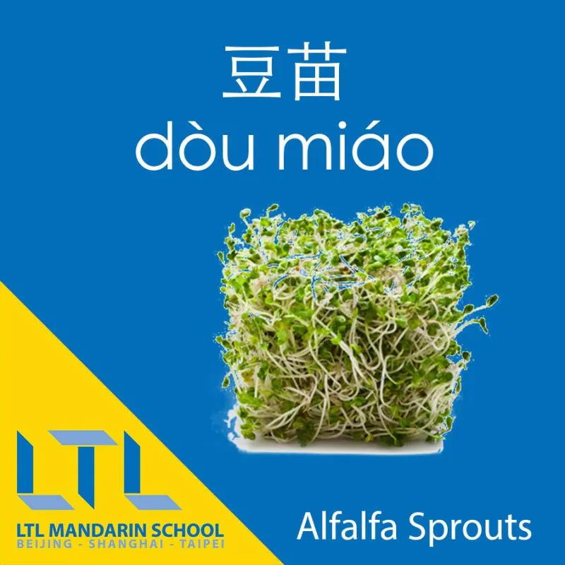 Alfalfa Sprouts in Chinese